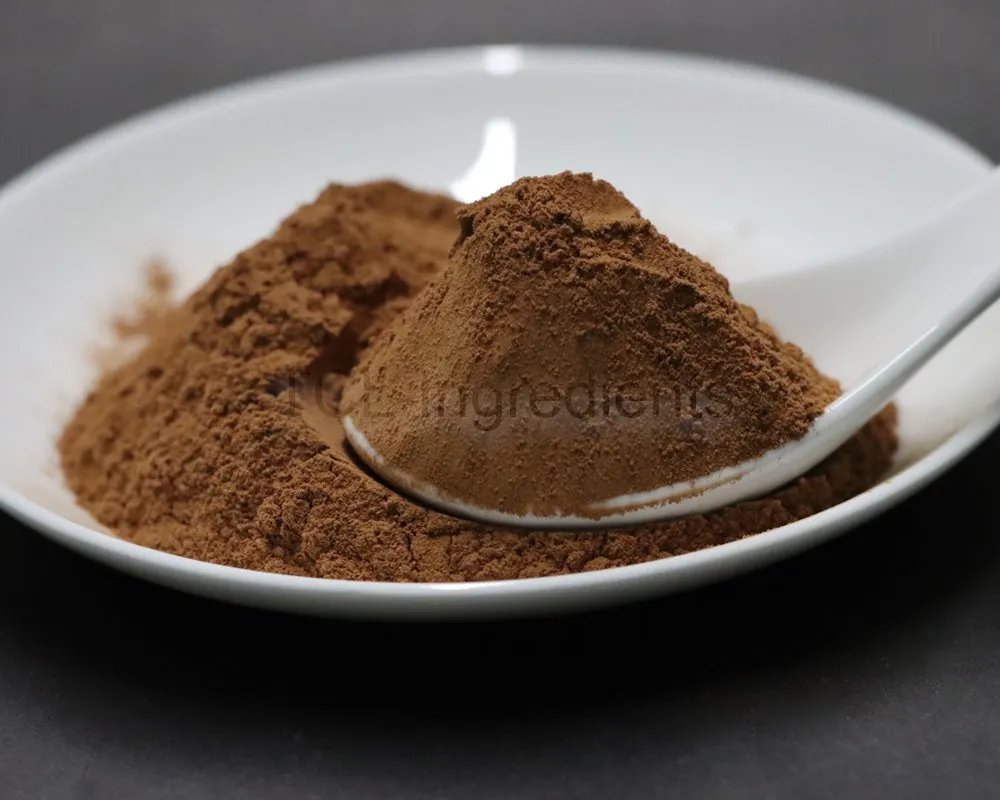 Reishi mushroom extract high quality Reishi mushroom extract high quality